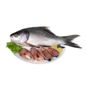কাতলা মাছ (Katla Fish) – বড় আকৃতির দেশি মাছ
