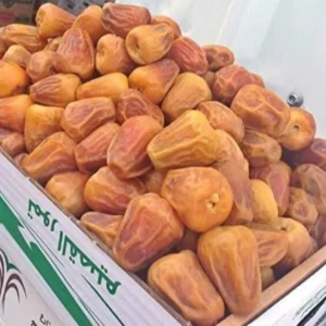 ওমানি সুক্কারি খেজুর